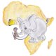 PICCOLE STELLE D'AFRICA