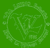 Logo del Via Luino